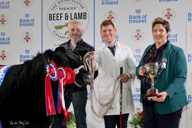 The top priced aninal of the 2021 Royal Ulster Premier Beef & Lamb Championships in partnership with principal sponsor Bank of Ireland was exhibited by JCB Commercials from Crossgar which was sold for £7,500.
On the night, they were the first recipients of a new trophy the ‘Sam Milliken Perpetual Cup’ in memory of Sam Milliken. On night, Libby Clarke, RUAS Chair of the Cattle Committee presented this special trophy to Jonathon Neill and handler Mark Reid.
