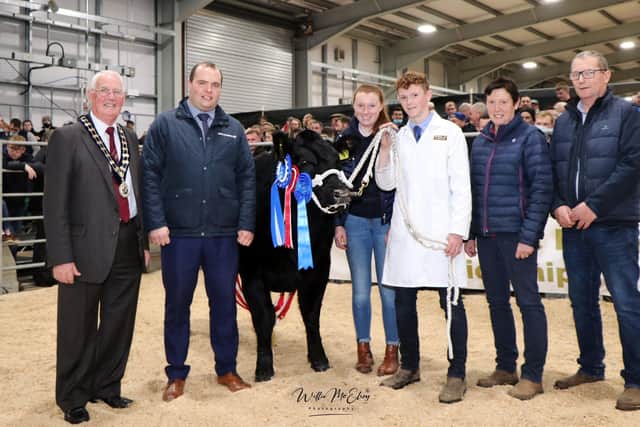 The Reserve Champion at the 2021 Royal Ulster Premier Beef & Lamb Championships in partnership with principal sponsor Bank of Ireland was awarded to Cochrane Family from Portadown.  Earlier in the day it also received the title of Reserve Limousin Champion.
Owen Miskelly from from Ballynahinch bought this Limousin sired heifer named Skedaddle for £7,400 at this premium sale. Pictured in the sales ring following the judging was and Royal UIster Agricultural Society President Billy Martin, Richard Primrose, Bank of Ireland and the Cochrane family with the Reserve Champion of the 2021 Show