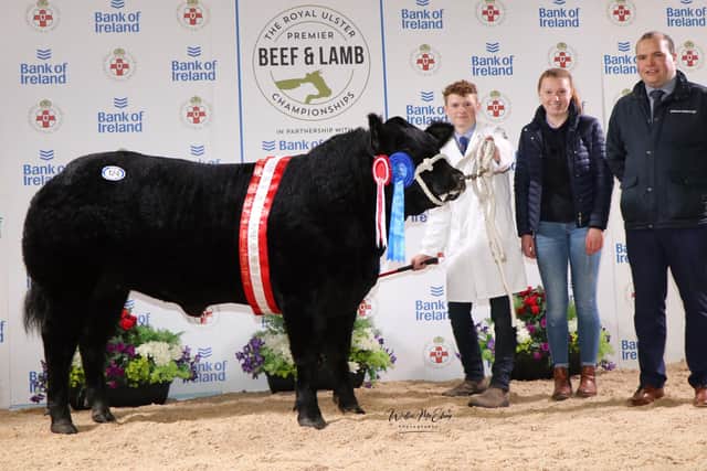 The Reserve Champion and Reserve Limousin Champion at the fourth Royal Ulster Premier Beef & Lamb Championships in partnership with principal sponsor Bank of Ireland was exhibited by the Cochrane Family from Portadown.  The Limousin sired heifer named Skedaddle was bought by Owen Miskelly from from Ballynahinch for £7,400. Pictured (L-R) Handler Matthew Cochrane, Richard Primrose, Bank of Ireland and Royal UIster Agricultural Society President Billy Martin.