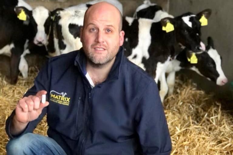 Cowcal Matrix Animal Health showcase range of products at Winter Fair