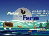 Winter on the Farm will be broadcast live on Channel 5.