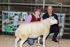 Artnagullion Fonta, Supreme Champion and top price on the day, 1300gns.