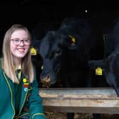 Macha McCone, one of the team members from St Catherine’s College Armagh pictured with their team’s calves which are being kept on the family farm of team-mate Isabella Macari.