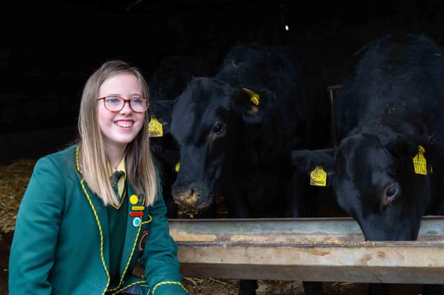 Macha McCone, one of the team members from St Catherine’s College Armagh pictured with their team’s calves which are being kept on the family farm of team-mate Isabella Macari.