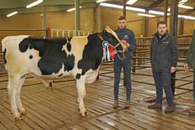 Jordan McLean, Dungannon, exhibited the champion Relough Rubican PLI £521. Included are Peter Speir, United Feeds, sponsor; and judge David Perry, Ahoghill. Pictures: John McIlrath