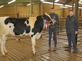 Jordan McLean, Dungannon, exhibited the champion Relough Rubican PLI £521. Included are Peter Speir, United Feeds, sponsor; and judge David Perry, Ahoghill. Pictures: John McIlrath
