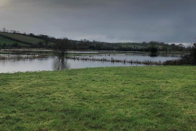 These fields in County Down were flooded on Boxing Day following heavy downpours on Christmas Day.
