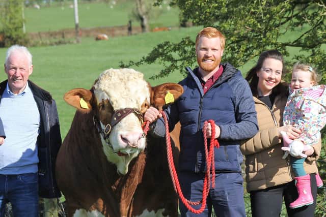May: The Weatherup family Leslie, Christopher, Laura, Archie and Rita with their £25,000 record breaking Simmental bull Lisglass Kirk.