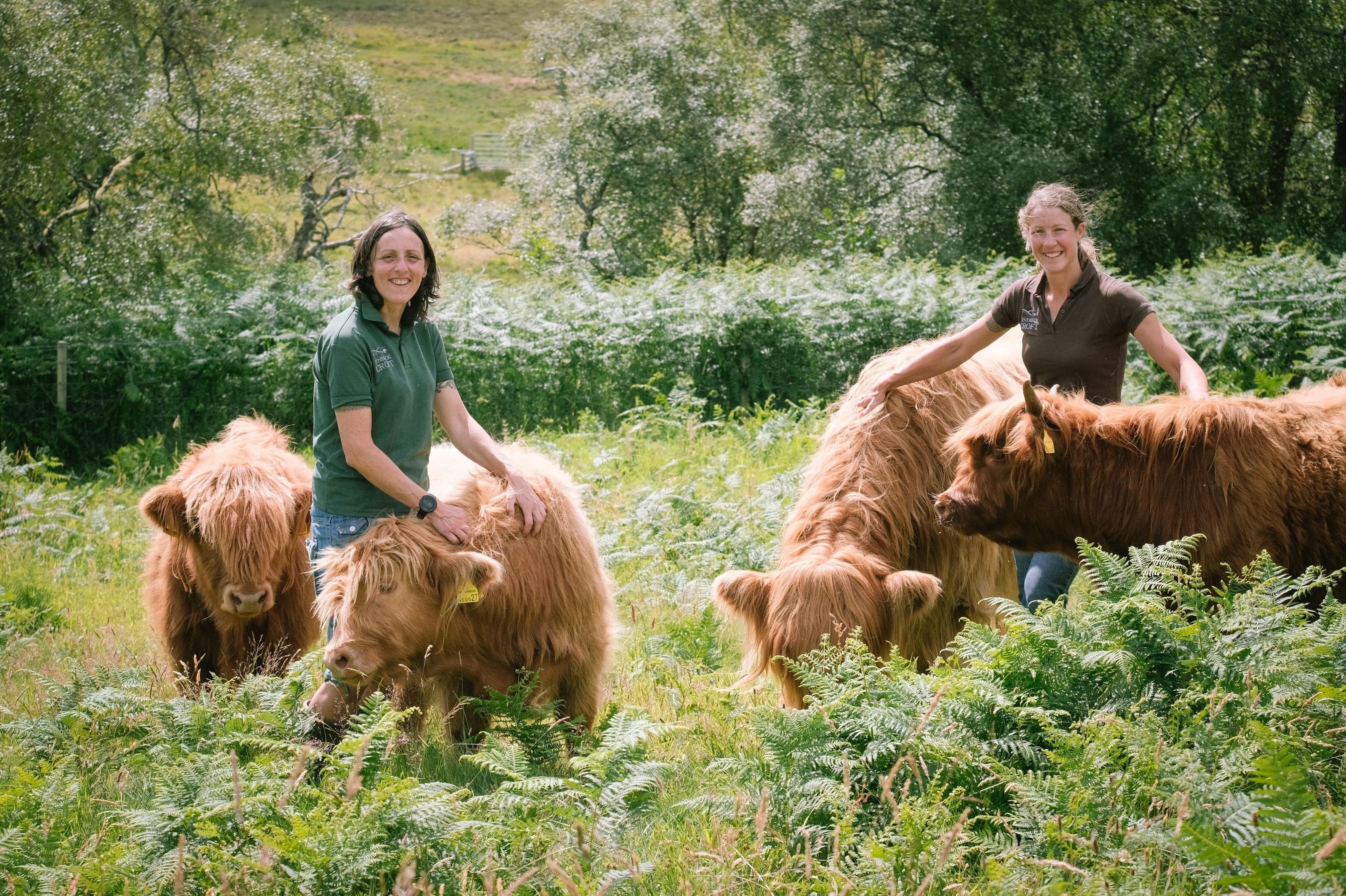 This Farming Life: Lynbreck Croft’s Lynn and Sandra share their ...