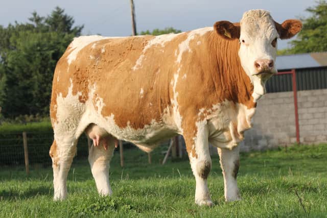 Three-year-old cow Slievenagh Klassy Lady was exported to Felix Tobler from Switzerland.