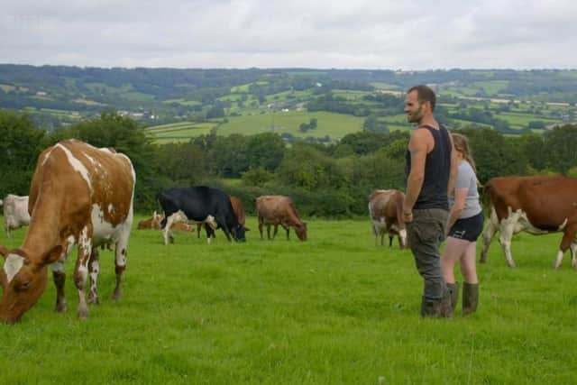 Image: The Farmers' Country Showdown/BBC iPlayer