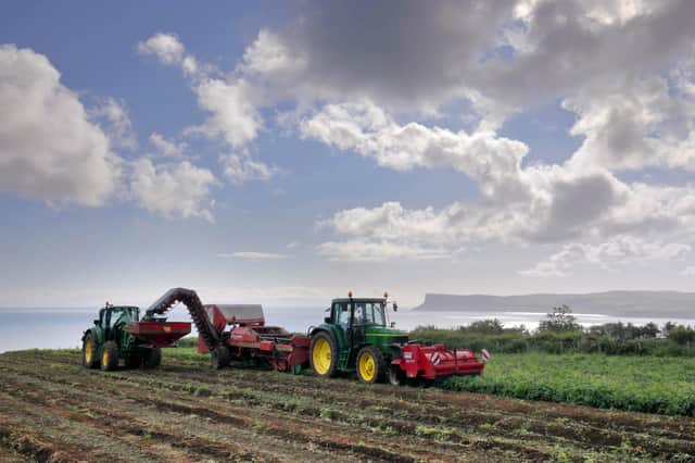 Harvesting new season Home Guard potatoes on Adrian and Nigel Jamisons farm near Ballycastle. Picture: Cliff Donaldson