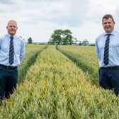 Fane Valley’s Stephen Bell - Technical Support Manager and Jonathan Dunn,  Agronomy & Forage Services Manager (right)