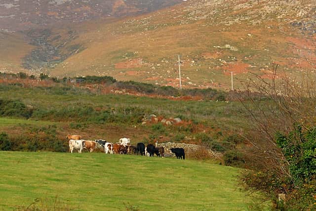 Farming in the hills and uplands is the single biggest influence on the landscape.