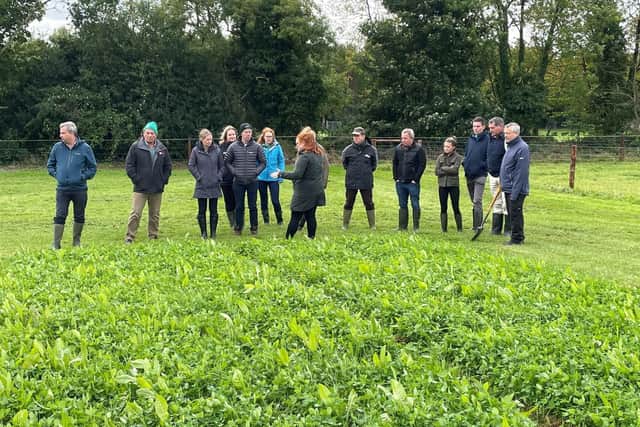 Members of the Multi-Species Swards for Beef &amp; Sheep EIP Group visiting the Devenish Lands at Dowth on their autumn study tour.