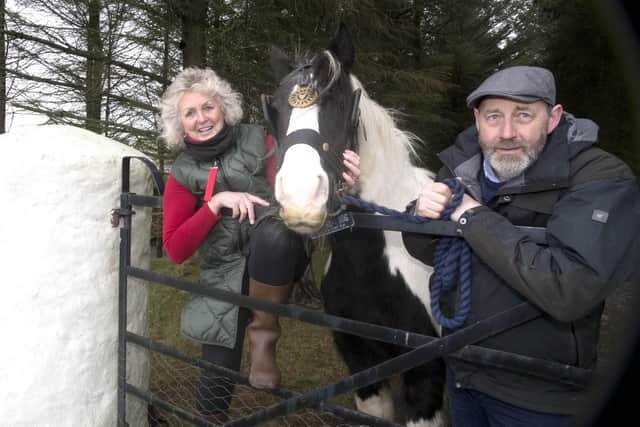 Hugh McCaughan and Claire Lynn getting ready with Susie for the Horse Ploughing Match in Ballycastle on St. Patrick's Day. PICTURE: KEVIN MCAULEY/MCAULEY MULTIMEDIA