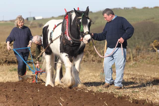 Seamus McMullan and Claire Lynn at the St. Patrick's Day horse Ploughing match held at Ballycastle. PICTURE: KEVIN MCAULEY/MCAULEY MULTIMEDIA