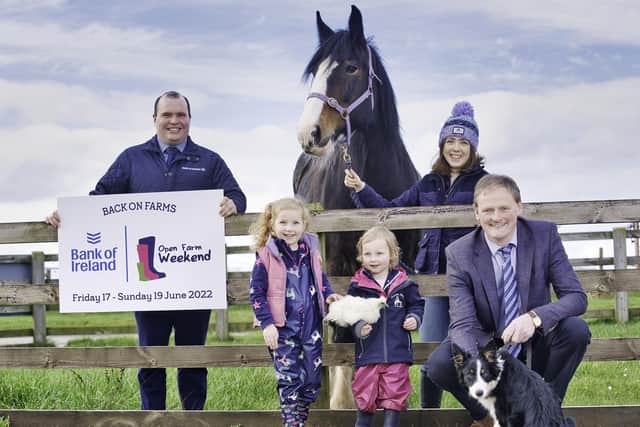 Pictured Richard Primrose Bank of Ireland UK Agri-Business Manager, Aimee Davis from participating farm Laurel View, Templepatrick, Ulster Farmers’ Union Deputy President David Brown and sisters Maisie (age 4) and Adalyn Wallace (age 2)