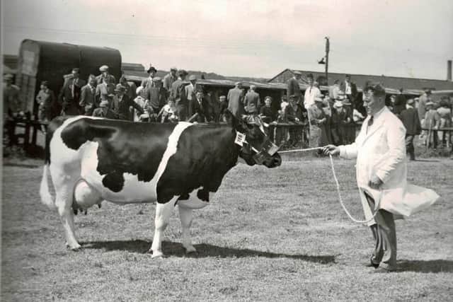 Hugh Campbell with the champion female at Coleraine show 1961