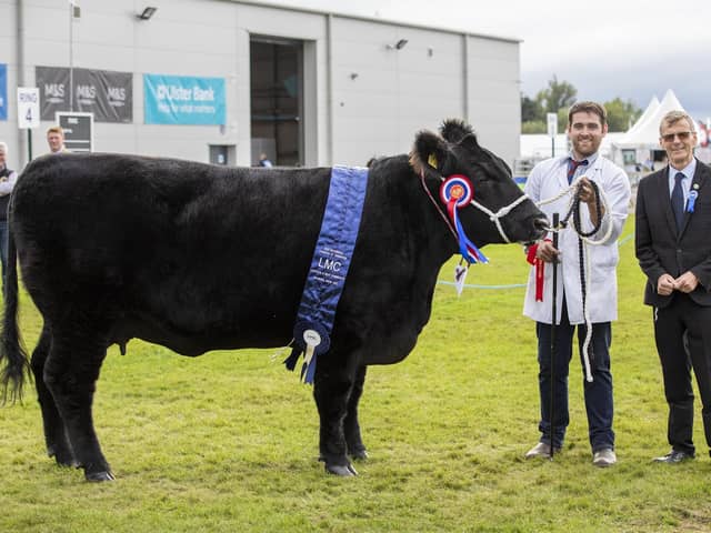 LMC Chairman Gerard McGivern (right) pictured with Adam Armour and his award winning Angus cow, named beef interbreed champion of champions at Balmoral Show 2021.
