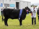 LMC Chairman Gerard McGivern (right) pictured with Adam Armour and his award winning Angus cow, named beef interbreed champion of champions at Balmoral Show 2021.