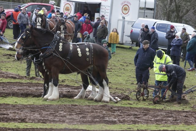 St. Patrick's Day ploughing at Ballycastle. Images: Gareth O'Brien/Kevin McAuely