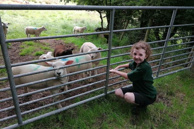 Jessica loves helping with the lambs