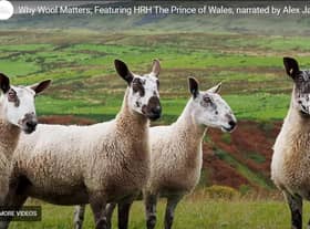 The film has been released by Campaign for Wool