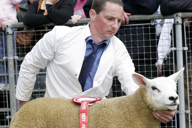 Alastair Gault from Newtownabbey with his Reserve Supreme Champion Texel and top Texel Ewe Lamb at Balmoral Show 2007