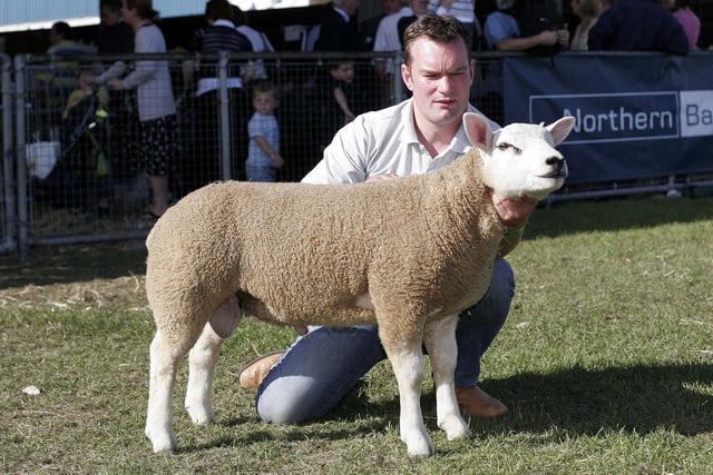 Richard Henderson from Tobermore with his Male Texel Champion and top Ram Lamb at Balmoral Show 2007