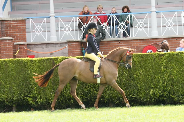 Sarah Curry rode Kenilwood Windsong to win the 128cms Show Pony class and the overall Show Pony Championship at Balmoral 2007