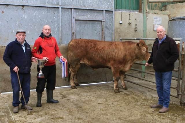 Overall champion at the Hilltown spring show and sale