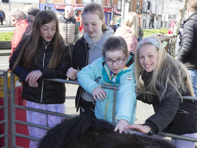 Ballymoney Spring Fair