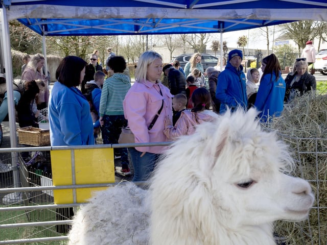 Ballymoney Spring Fair