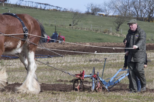 Sean Falkner Pictured at Ballycastle and District ploughing match on Saturday. PICTURE KEVIN MCAULEY/MCAULEY MULTIMEDIA