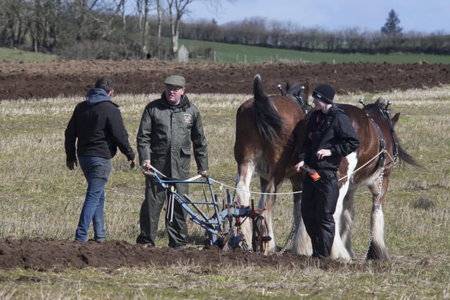 Pictured at Ballycastle and District ploughing match on Saturday. PICTURE KEVIN MCAULEY/MCAULEY MULTIMEDIA