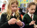 Pupils from Lisnadill Primary School dig into some samples