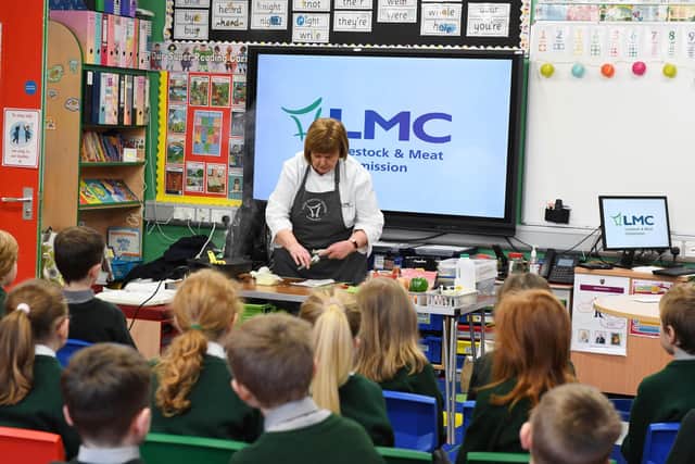 LMC’s Liz Brown delivers a cookery demonstration to pupils at Lisnadill Primary School