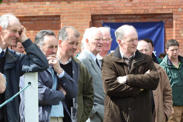 Spectators keep an eye on the Holstein judging at Balmoral Show 2010. 
Picture: Julie Hazelton