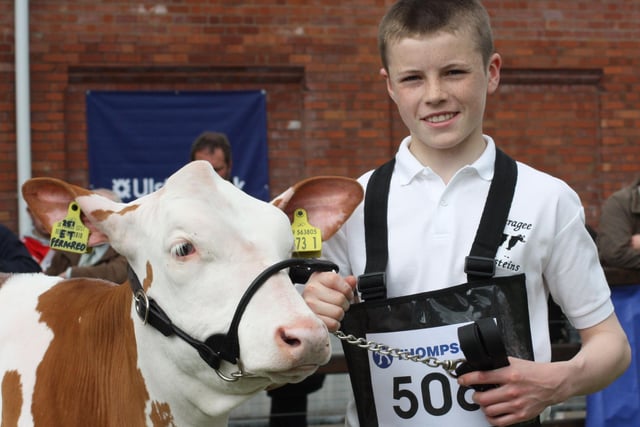 Mark Henry, Stranocum, Ballymoney, with his first prize winning heifer calf, Ultimo Redliner Fern Red ET, at Balmoral Show 2010. 
Picture: Julie Hazelton