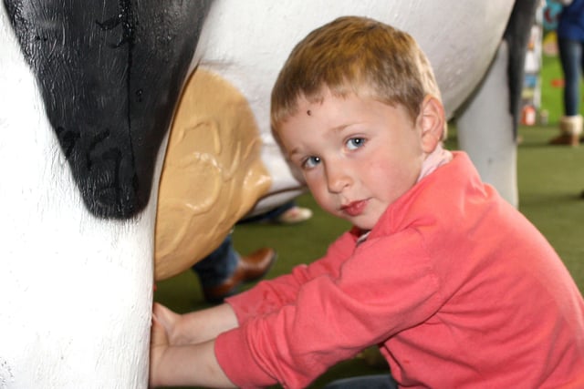Callum Mullen, Dungannon, put his hand milking skills to the test on the United Dairy Farmers Stand at Balmoral Show 2010. 
Picture: Julie Hazelton