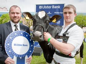 Conor McNeill, Ulster Bank business manager, presents Andrew Patterson, Crumlin, with the champion Holstein award at Balmoral Show 2010. Picture: Cliff Donaldson