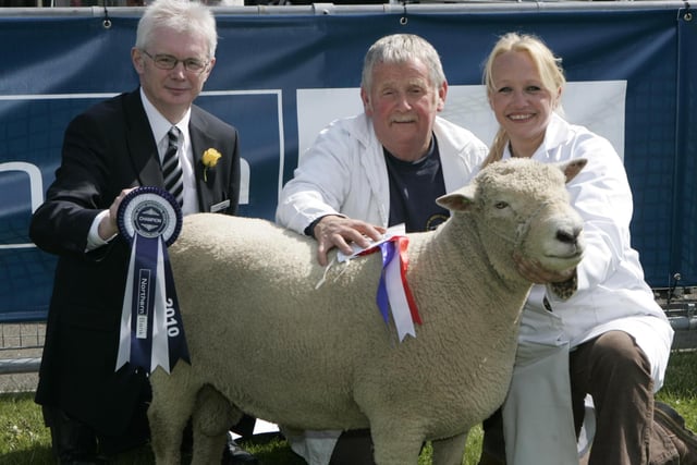 Robert J McCauley from Dromore, Co Down had a successful Balmoral Show in 2010 when he won Champion Rare Breed with his South Down ram. Brian McNair, Agribusiness Manager, Northern Bank, Newtownards is pictured with Clare Squires (handler) and Robert. Picture Kevin McAuley Photography Multimedia