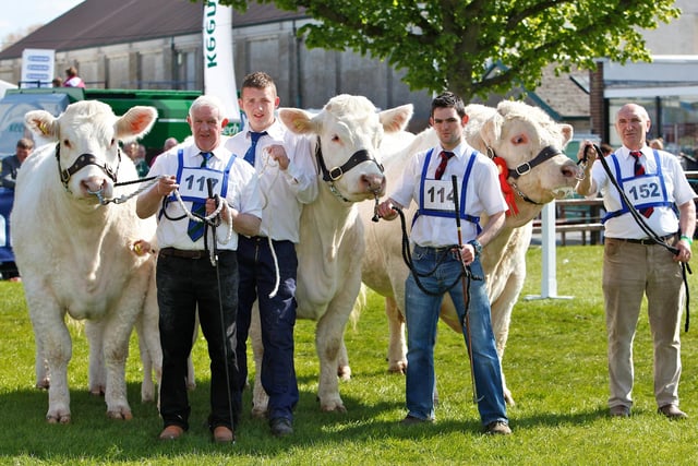 The top group of Three Charolais at Balmoral Show 2010 were owned by Gilbert Crawford, Maghera, and exhibited here by Andrew Patterson, Kyle Irwin, Philip McKendry and Sam Miliken.