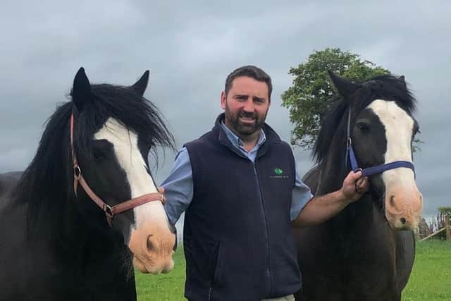 Ross pictured with Irish Cobs Billy and Dan.
