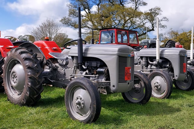 On display at Shanes Castle Steam Rally