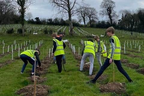 Eco Club members planted a mixture of native trees.