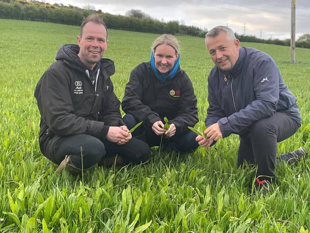 Host farmers Roger & Hilary Bell with ARCZero Chair Professor John Gilliland examining a field of Multi-Species Swards that was established last year.