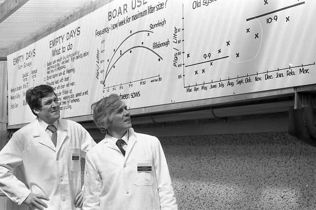 Mr Alan Ashenurst and Dr Norman Walker discussing records at the pig open days which were held at Hillsborough in May 1982. Picture: Farming Life/News Letter archives