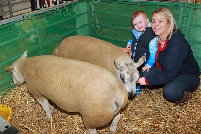 Sinead and Archie Latimer with show entrants from the Brownville Flock